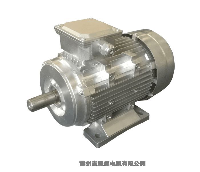 深水防水电机IP68 三相异步电动机 可根据需求定制-赣州晟福电机