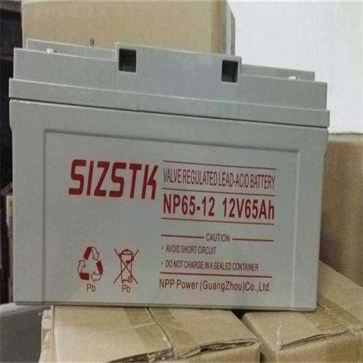 SIZSTK蓄电池NP65-12机房不间断ups直流电源12V65AH