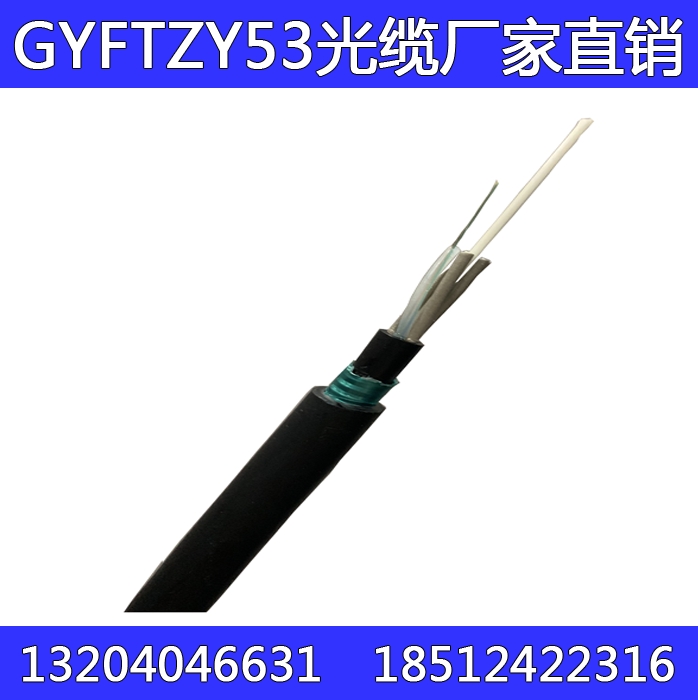 GYFTZY53-4B1 ʯ͹ܵרȼװֱgyftzy53